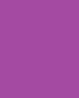 D04 紫色 Purple